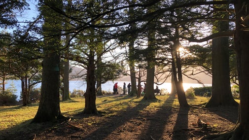 A group including a wheel chair user stopping at Broomhill point to take in the view on a sunny winter's day